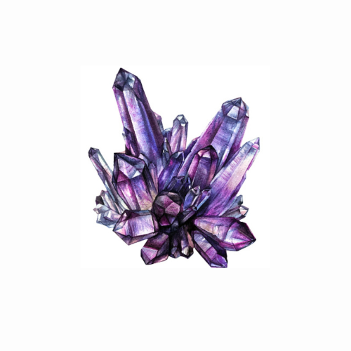 L'INSTINCT MINERAL